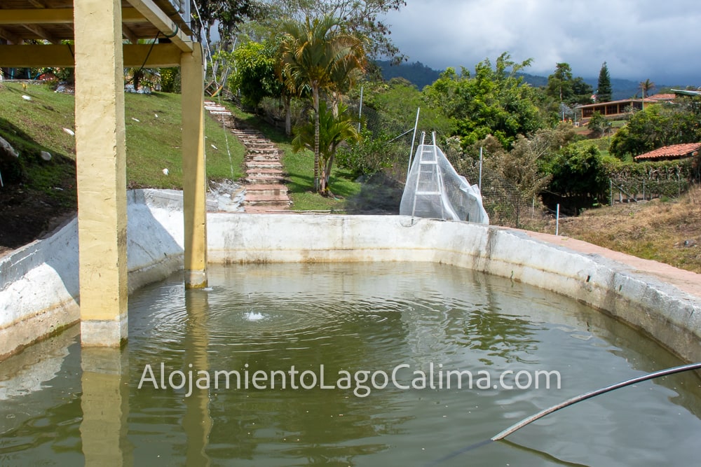 lago de pesca, Casa campestre 0011 en el Lago Calima